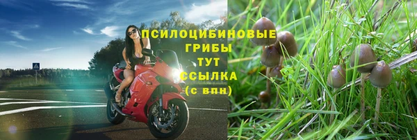 марки nbome Баксан